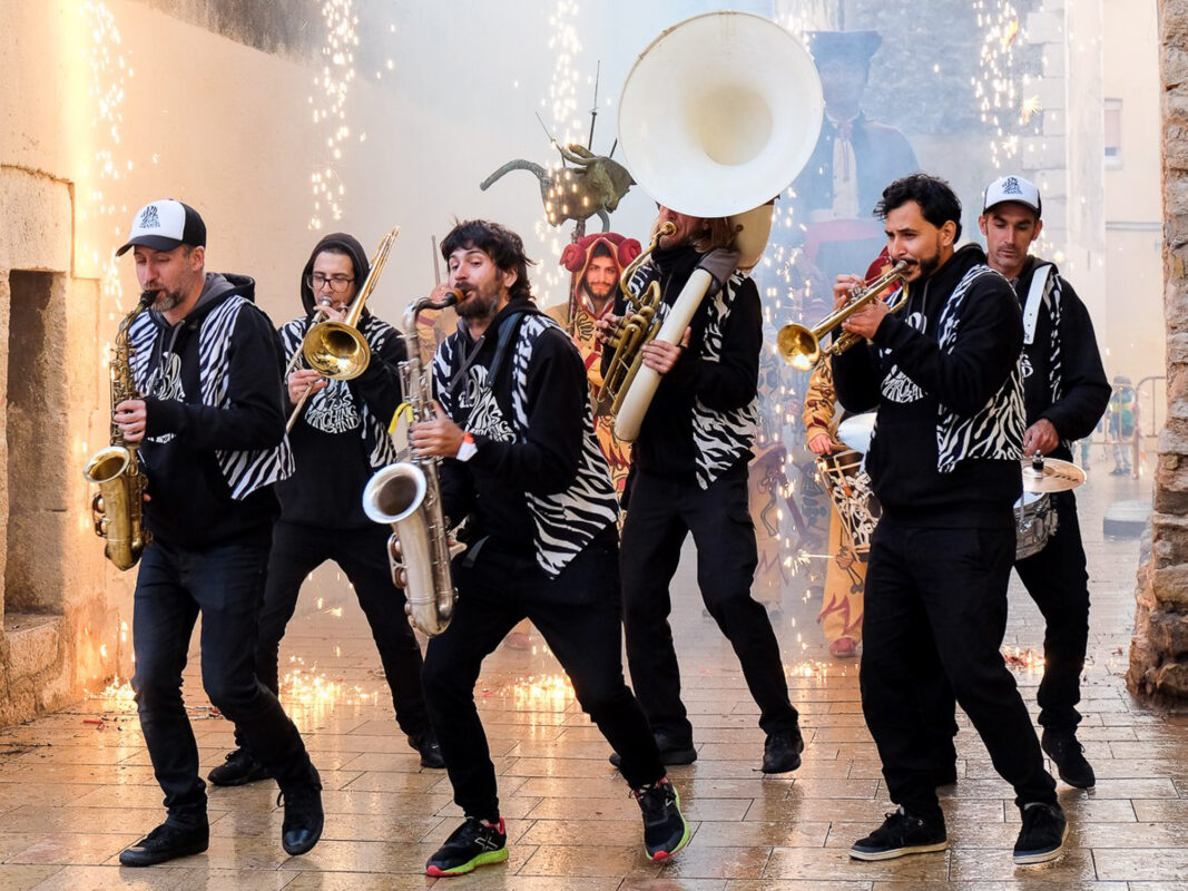 Zebrass calle